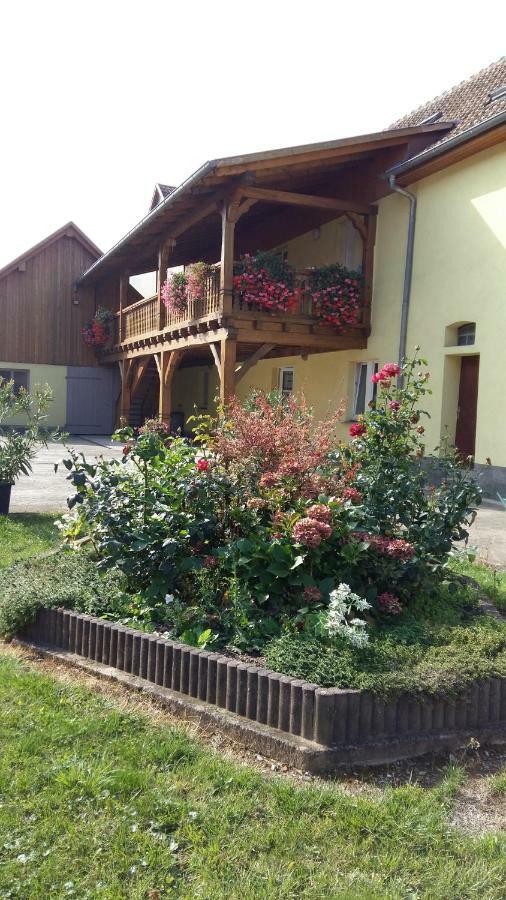 Gite "Le Piemont Des Vosges " Stotzheim Exterior foto